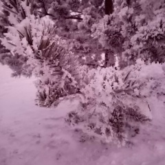 Раиль Бакиров, 16.05.1990, Павлодар