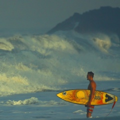 Александр Филиппов, 01.05.1960