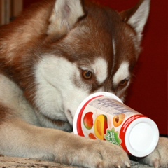 Таня Ларина, 26.07.1985, Алматы