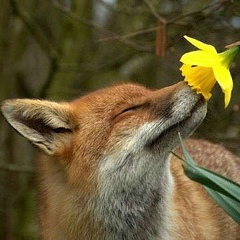 Ольга Дорошенко, 08.09.1986, Москва