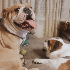 Александр Музалёв, 24.05, Петрозаводск