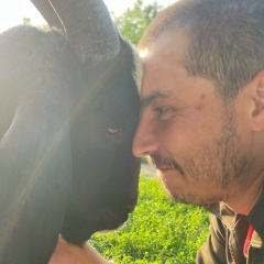 Павел Логинов, 27.07.1988, Новоселки