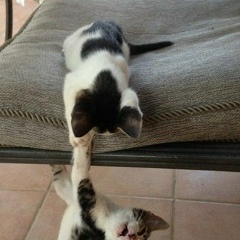 Аделя Юсупова, 18.03.1990, Алматы