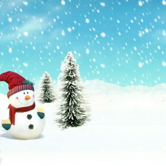 Вероника Данилевич