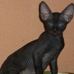 Ирина Данилова, 05.04, Санкт-Петербург