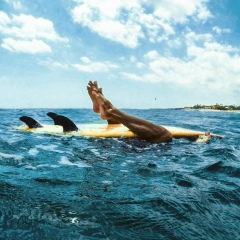 Максим Enjoy, 22.01, Москва