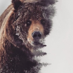 Абзал Аймурат, 17.04.1992