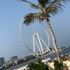 Марина Кононова, 12.12.1966, Москва