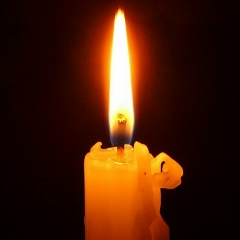 Алексей Шашко, 03.12, Санкт-Петербург