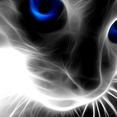 Алексей Даричев, Москва