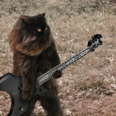 Александр Егоров, 01.01