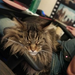 Евгений Сергеевич, 07.12, Санкт-Петербург