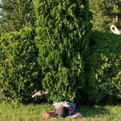 Алексей Кошкин