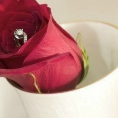 Анара Абылкасова