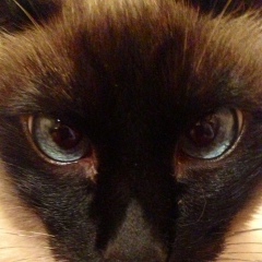 Влад Колядин, 16.10, Москва