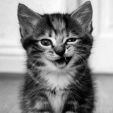 Анастасия Ворожейкина, 30.08, Норильск