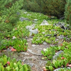 Алексей Бальжуров, 29.11.1987, Улан-Удэ