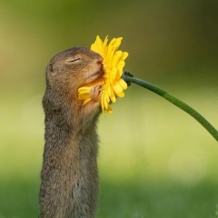 Юлия Ивановская, 05.11, Санкт-Петербург
