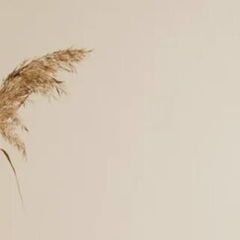 Рома Реднек, Барнаул