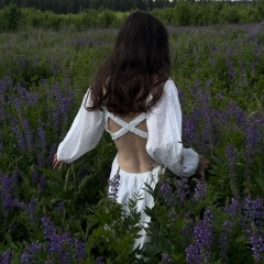 Натик Мехоношина