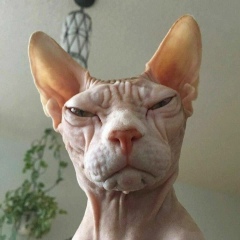 Ольга Паукова, 08.02, Гдов