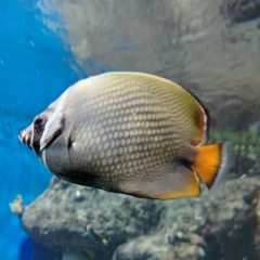 Денис Нужный, Москва