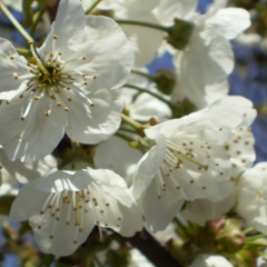 Евгения Прохорова, 22.02, Днепр (Днепропетровск)