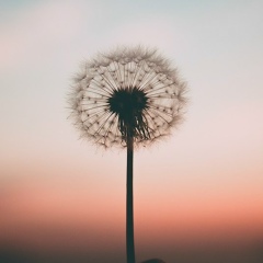 Алия Хаматгалимова, 04.08, Самара