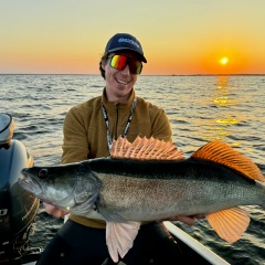 Назаркин Анатолий, 05.12.1902, Москва