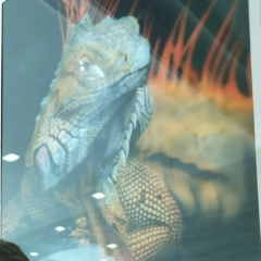 Валентин Бортник, 23.03.1904, Калининград