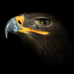 Александр Кац, 11.02.1987, Минск