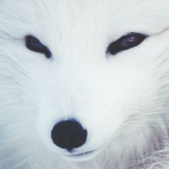 Ляна Бахова, 27.07.2003, Нальчик