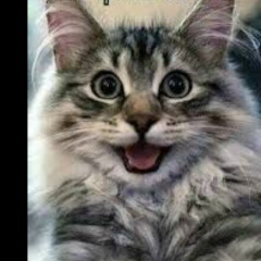 Катя Малиновская, Владивосток