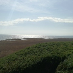 Руслан Кияшко, 23.05, Херсон