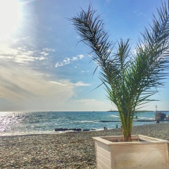 Екатерина Дунаевская, 28.10, Москва