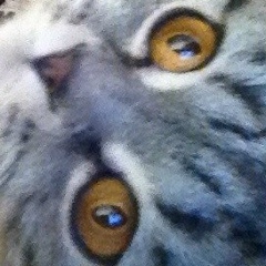 Андрей Савченко, 13.12.1986, Киев