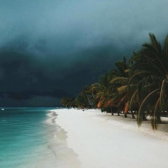 Viktor Gutsu, 02.11.1987