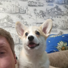 Максим Кочкин, 04.12, Елабуга