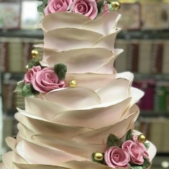 Джамала Джалилова, Санкт-Петербург