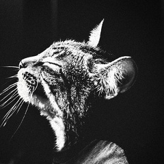 Денис Денисов, 17.09