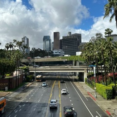 Гаухар Нурфис, 18.01, Los Angeles