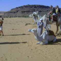 Hamoda Hamo, 10.09.1972, Alger