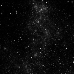 Елена Федюкова, 31.08, Орехово-Зуево