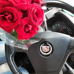 Натали Елисеенко, 17.02, Нижневартовск