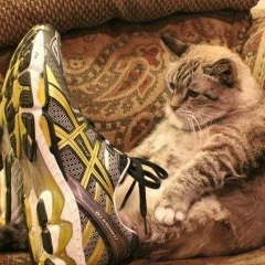 Gleb Ryadozubov, 30.05.1998, Brno