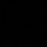 Ольга Макарова-Боуман, 31.05, Urbana