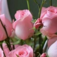 Айгуль Матурашечка, Стерлитамак