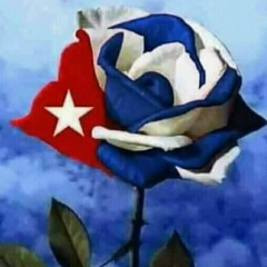 Alexey Alonso, Санкт-Петербург