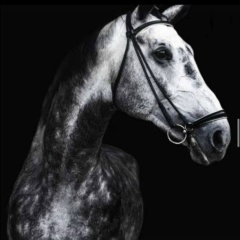 Айбек Сагынбек, Москва