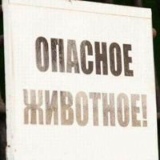 Антон Вакарчук, 09.03.1984, Днепр (Днепропетровск)